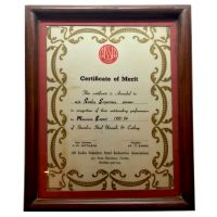 AISSIA Certificate of Merit 1993-94