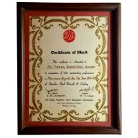 AISSIA Certificate of Merit 1994-95